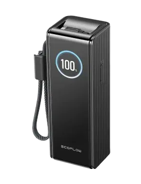 Павербанк EcoFlow RAPID Power Bank з кабелями 25000mAh чорний